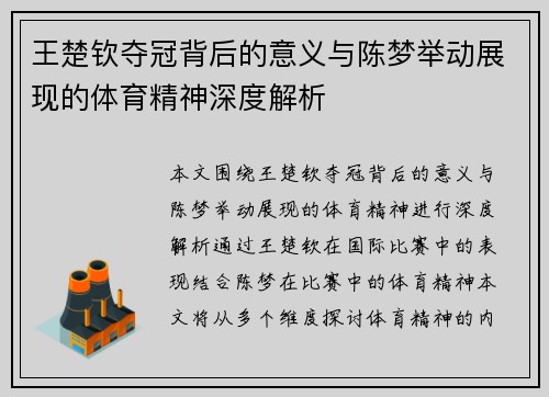 王楚钦夺冠背后的意义与陈梦举动展现的体育精神深度解析