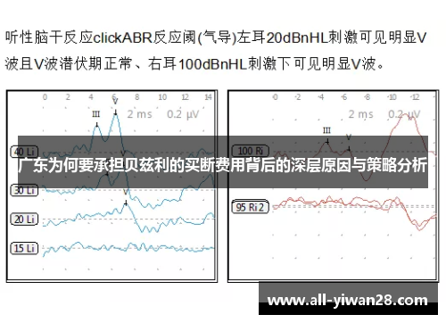 广东为何要承担贝兹利的买断费用背后的深层原因与策略分析