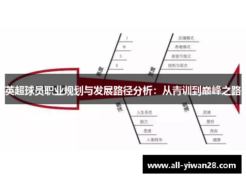 英超球员职业规划与发展路径分析：从青训到巅峰之路